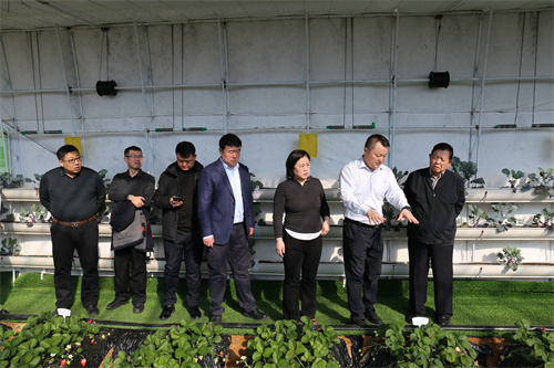 luck18新利·(中国体育)官方网站