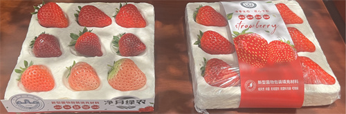 luck18新利·(中国体育)官方网站