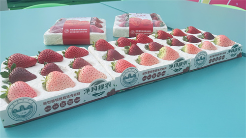 luck18新利·(中国体育)官方网站